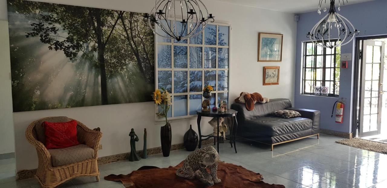 Little Savoy Guest House New راناوي باي المظهر الخارجي الصورة